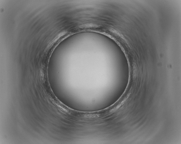 X0000075411305200609291656