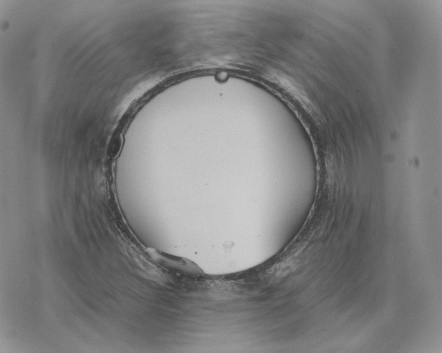 X0000075411308200609291656