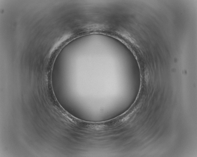 X0000075411309200609291656