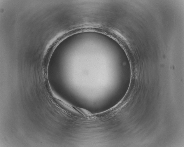 X0000075411310200609291656