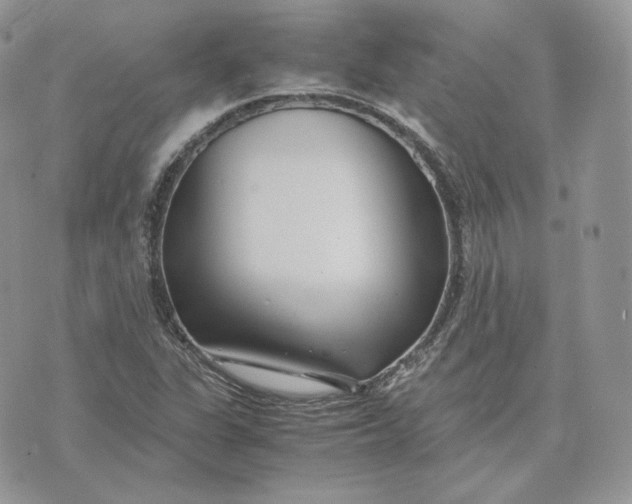 X0000075411311200609291656