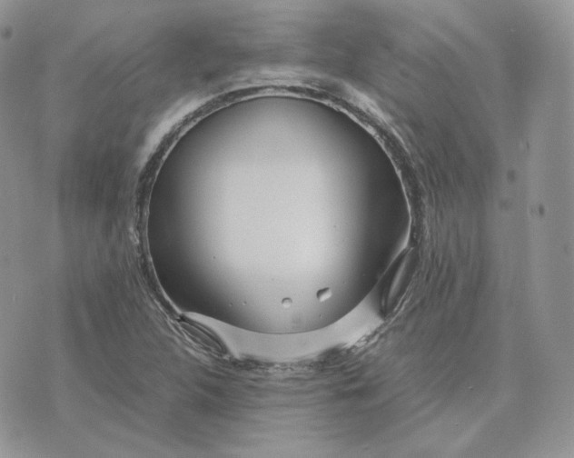 X0000075411312200609291656