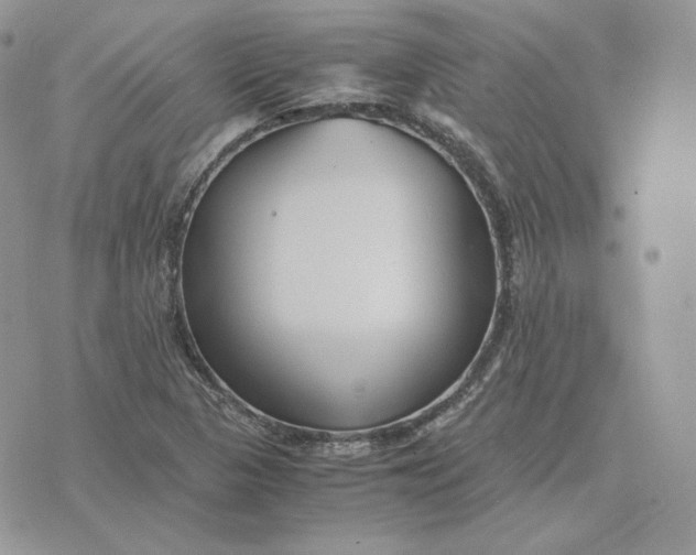 X0000075411313200609291656