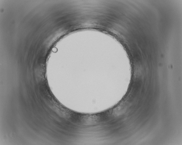 X0000075411314200609291656