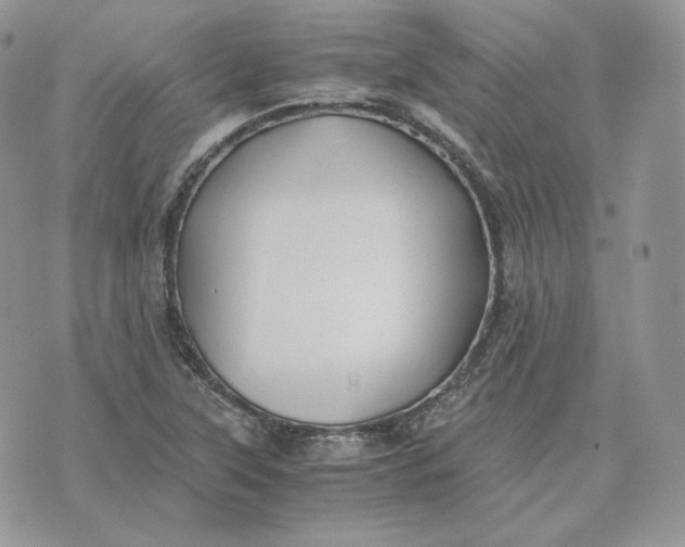 X0000075411315200609291656