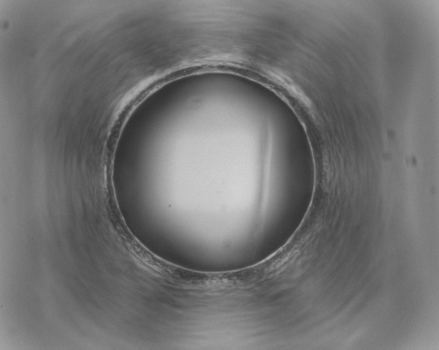 X0000075411316200609291656