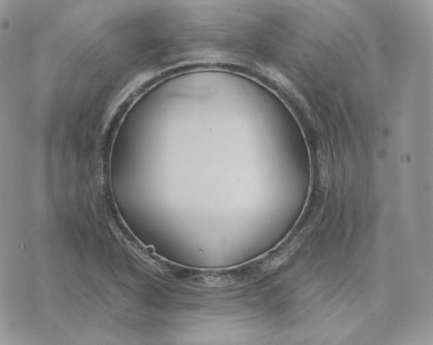 X0000075411318200609291656