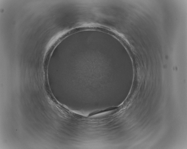 X0000075411319200609291656