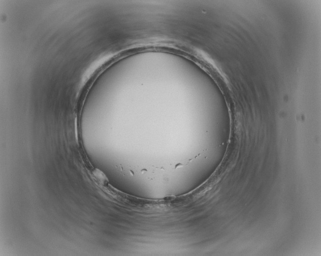 X0000075411320200609291656