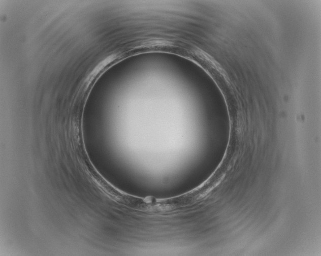 X0000075411321200609291656