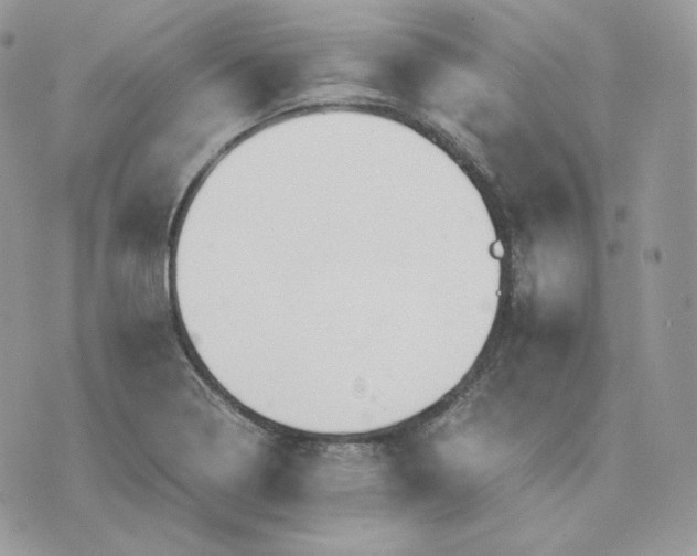 X0000075411322200609291656