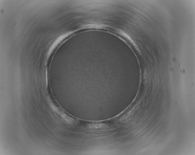 X0000075411323200609291656