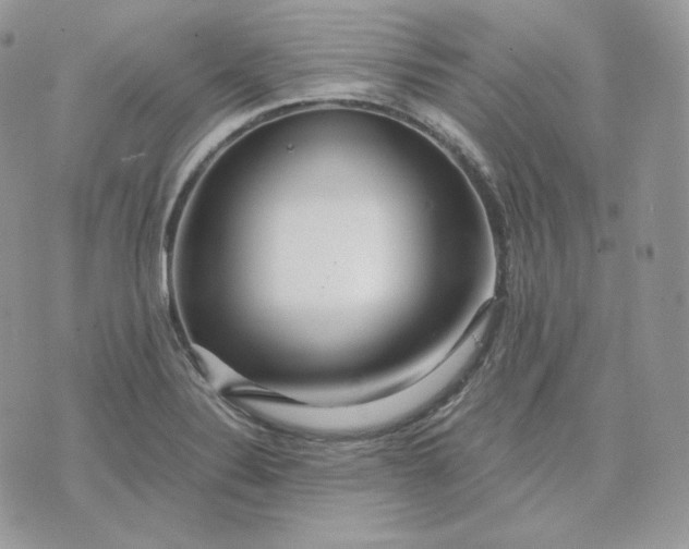 X0000075411324200609291656