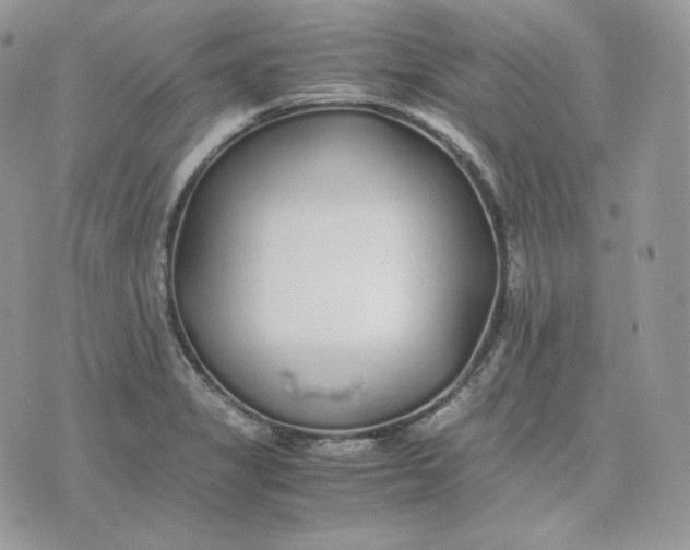 X0000075411325200609291656