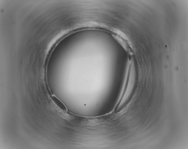 X0000075411326200609291656