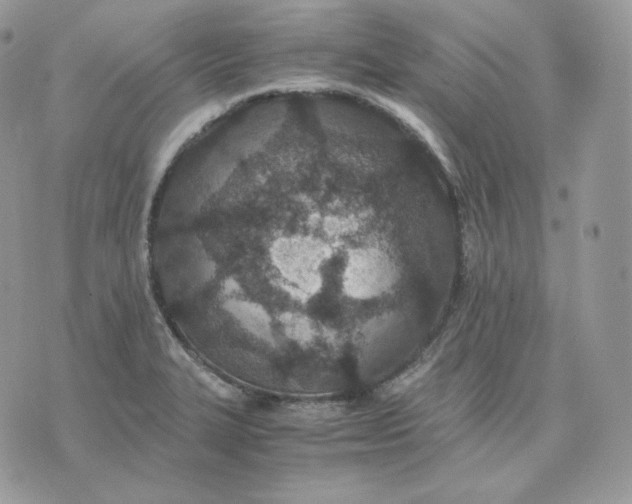 X0000075411327200609291656