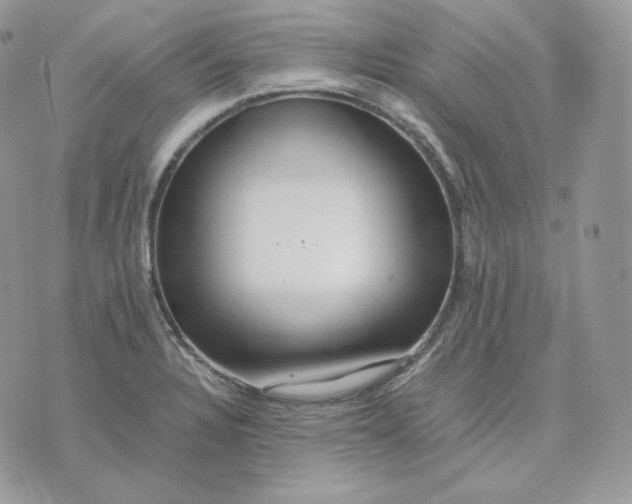 X0000075411328200609291656