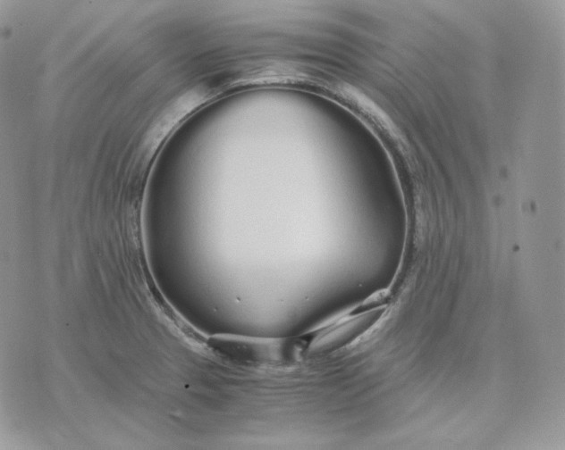 X0000075411329200609291656