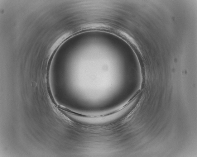 X0000075411330200609291656