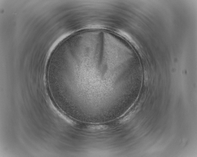 X0000075411331200609291656