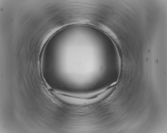 X0000075411332200609291656