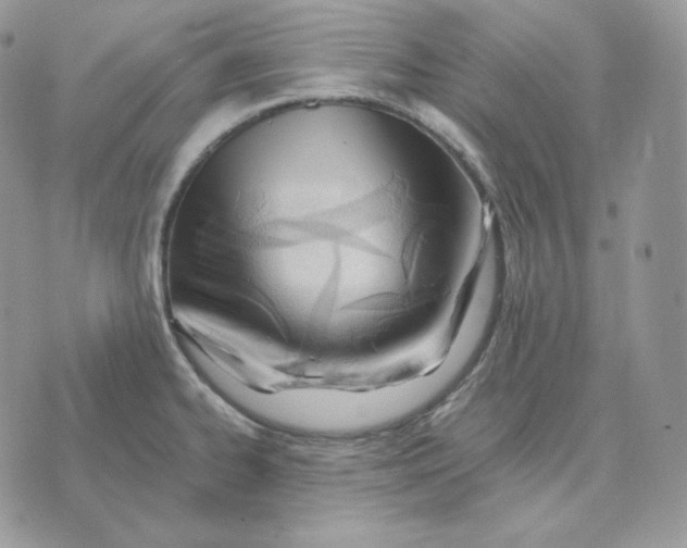 X0000075411334200609291656