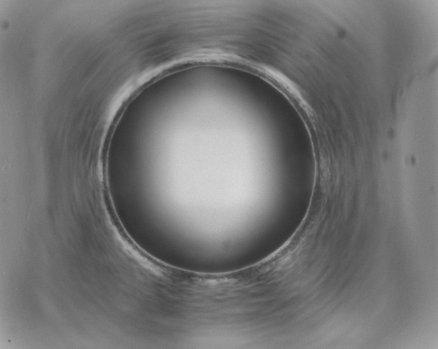 X0000075411335200609291656