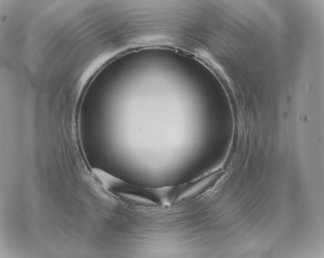 X0000075411336200609291656