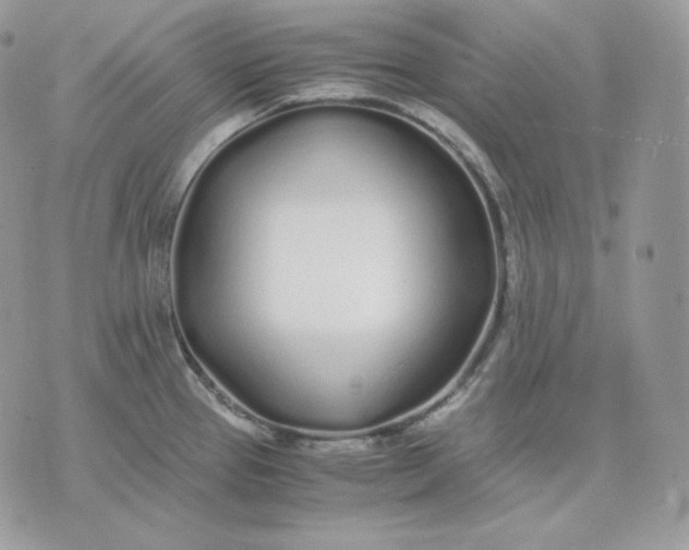 X0000075411337200609291656