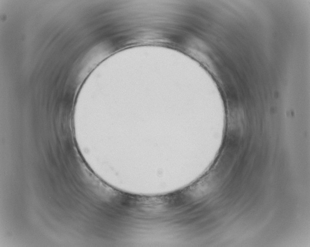 X0000075411338200609291656