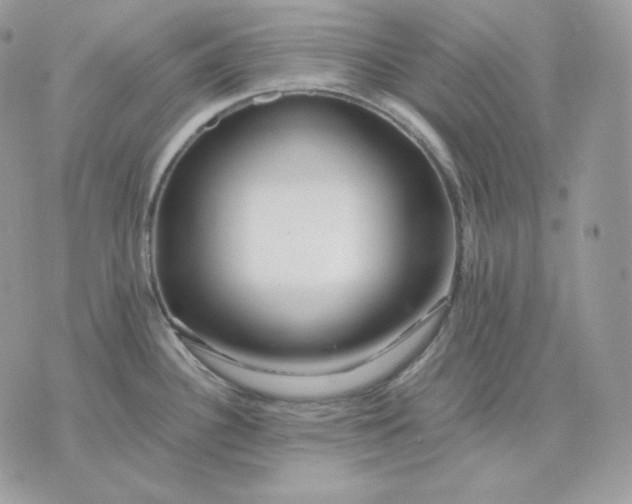 X0000075411340200609291657