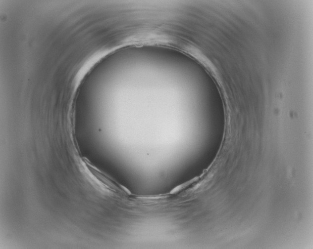 X0000075411344200609291657