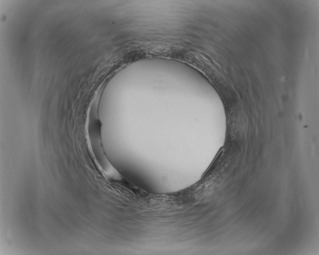 X0000075411345200609291656