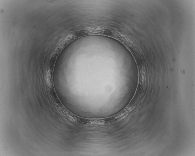 X0000075411346200609291656