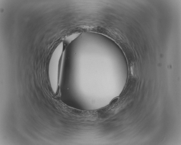 X0000075411347200609291656