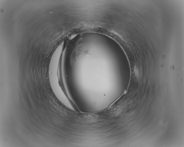 X0000075411348200609291656