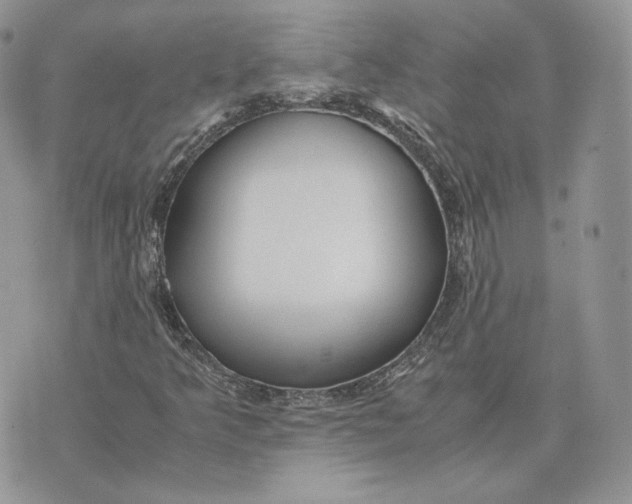 X0000075411349200609291656