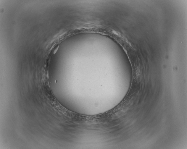 X0000075411350200609291656