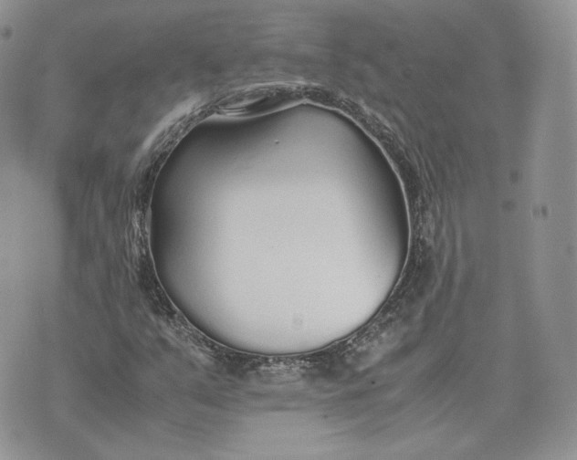 X0000075411351200609291656