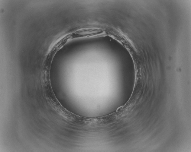 X0000075411352200609291656