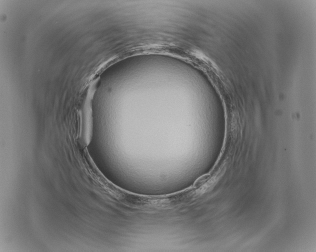 X0000075411353200609291656