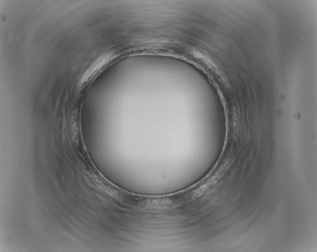 X0000075411354200609291656