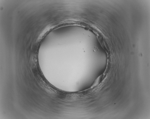 X0000075411355200609291656