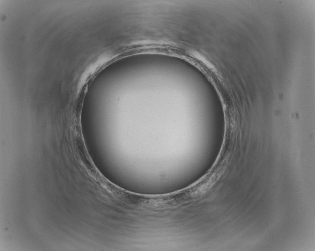 X0000075411357200609291656