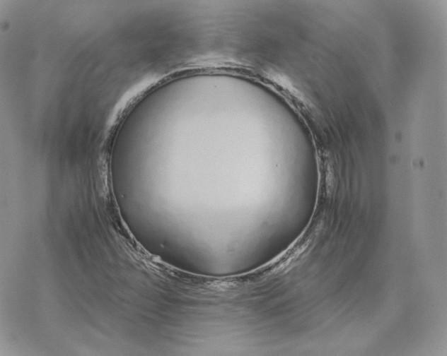 X0000075411358200609291656