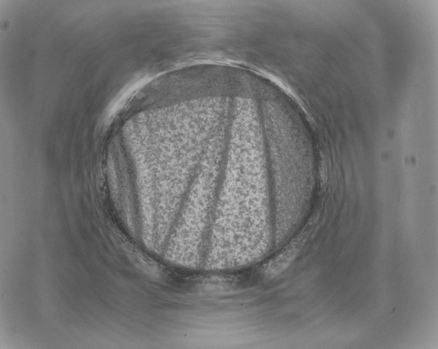 X0000075411359200609291656