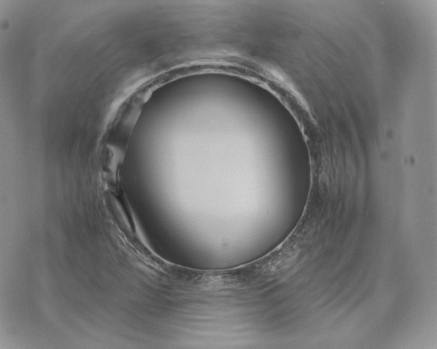 X0000075411360200609291656