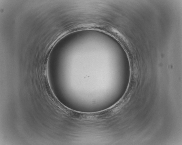 X0000075411361200609291656