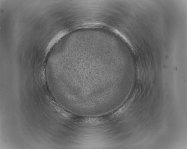 X0000075411362200609291656