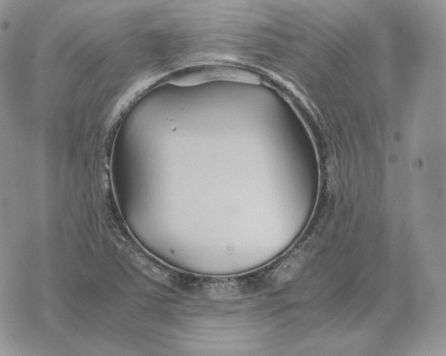 X0000075411363200609291656